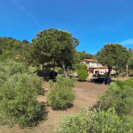 Villa Vanna Trilo -Quadrilocale Capoliveri  Exterior foto